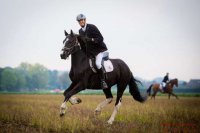 williwilden.de - Willi auf Leo 